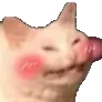 catBlush2