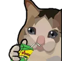 Juice Cat Discord Emoji