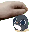 penguinpat
