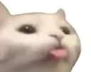 bleup