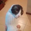 glumb glumb