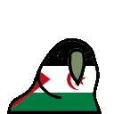 westernsaharaparrot