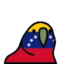 venezuelaparrot