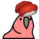 sushiparrot