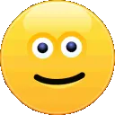 skype_wink