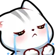 cat_cry
