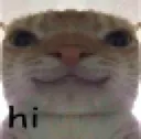 Hi Hi