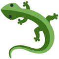 lizard