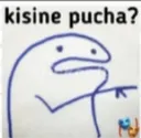 kisine_pucha