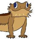 bouncinglizard