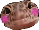 cutelizard