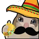 Mexican Cat Discord Emoji