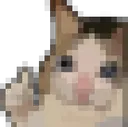 PixelCat Discord Emoji