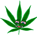 Weed
