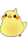 cb_BirbHyper