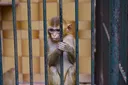 prison