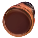 AGC_OmegaW Discord emoji