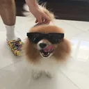 tonyboi