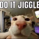 jiggleded