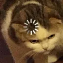 thinkcat thinkcat