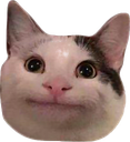why Discord emoji