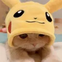 pikacat4
