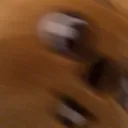 HanQuokkaPanic HanQuokkaPanic