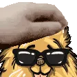 PETTHEDOGE PETTHEDOGE