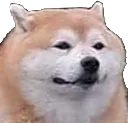 doglame