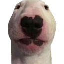 walter Discord emoji