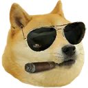 dogecop dogecop