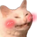 catblush Discord emoji