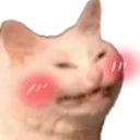 catblush