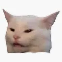 SmudgeTheCat Discord Emoji