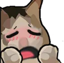 Blush Cat blushCat Discord Emoji