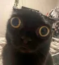 ch_stare