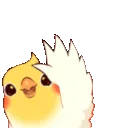 BirbWave
