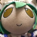 FishEyeSanae