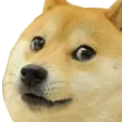 Doge Discord Emoji