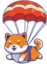 Airdoge