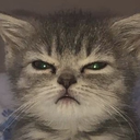 catserio Discord emoji