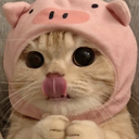 catfome Discord emoji