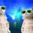 catTechno