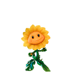 sunflowerlove