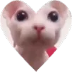 bingheart