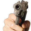 gun
