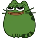 koszka koszka