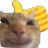 approvalcat Discord Emoji
