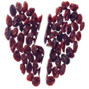 raisinhater Discord emoji