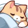 CatSleep